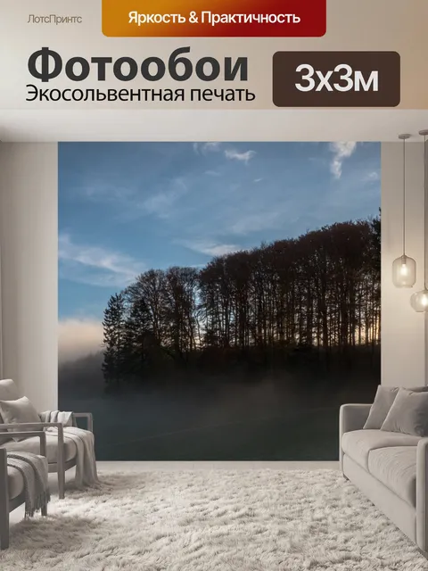 Фотообои Туман