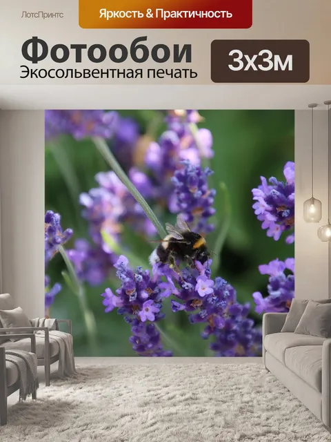 Фотообои Лаванда