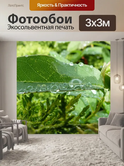 Фотообои Капли дождя, листвы