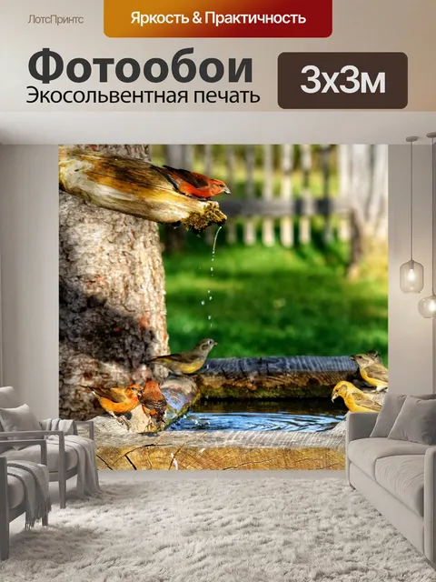 Фотообои Перекрестные счета