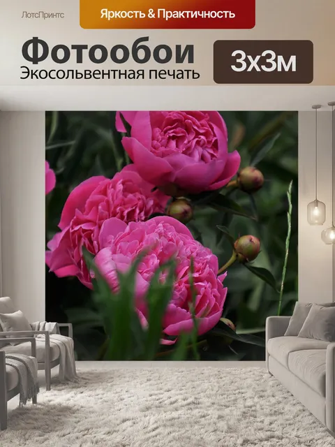 Фотообои Цветы