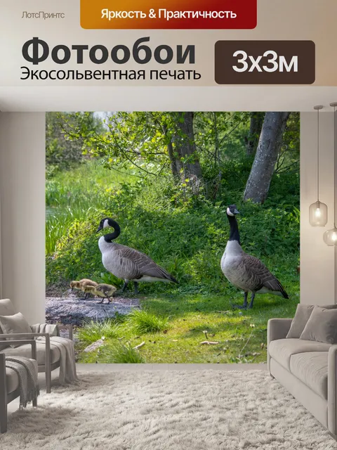 Фотообои Большой канадский гусь, цыплята