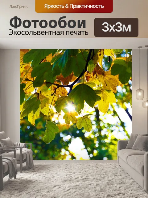 Фотообои Падение