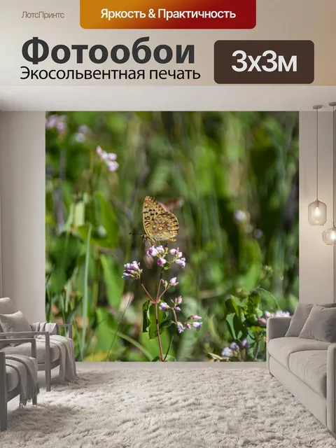Фотообои Золотая бабочка