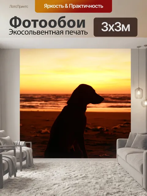 Фотообои Собака