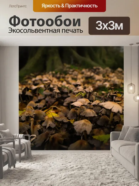 Фотообои Грибы