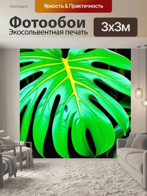 Фотообои с листьями монстеры красивый