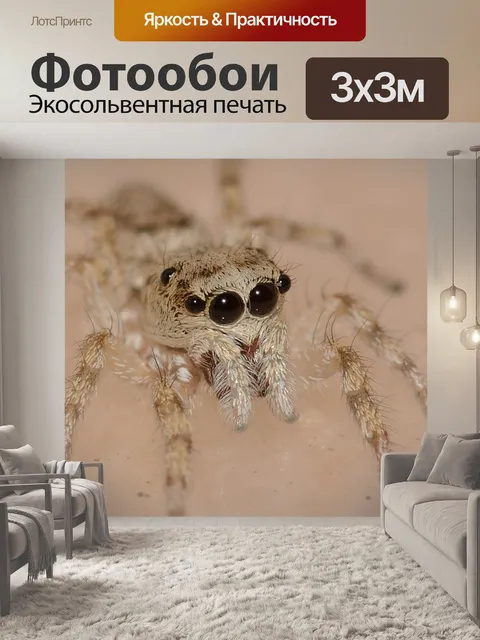 Фотообои Природа