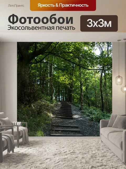 Фотообои лес