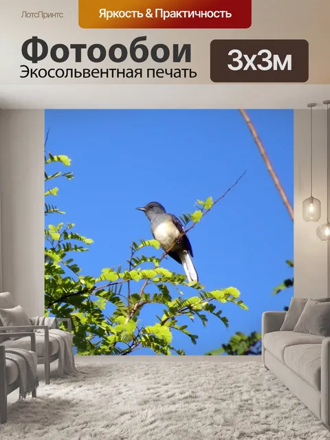 Фотообои Птица