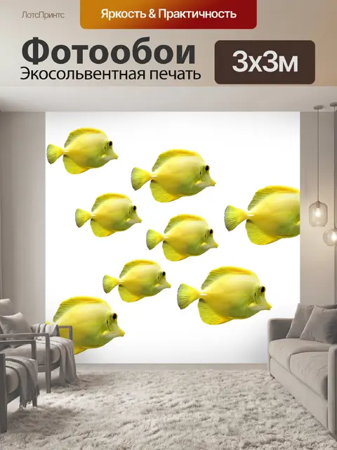 Фотообои Рыбы