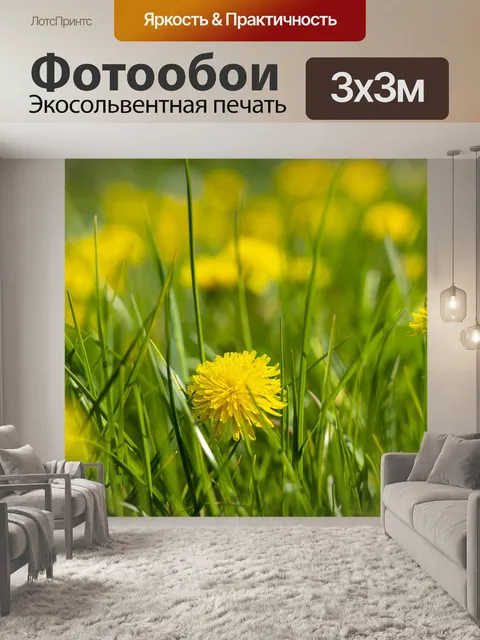 Фотообои Одуванчик