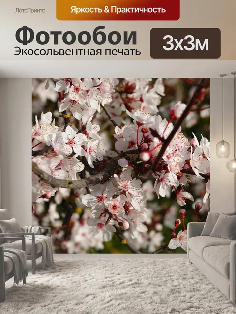Фотообои Цветы