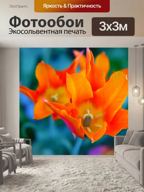Фотообои Тюльпаны