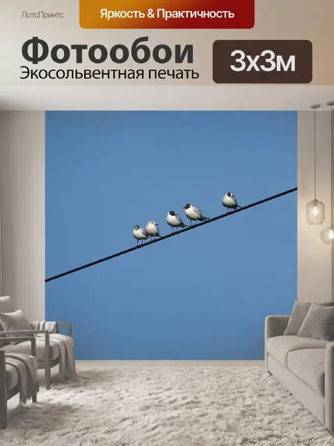 Фотообои Птицы