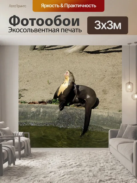Фотообои Выдра