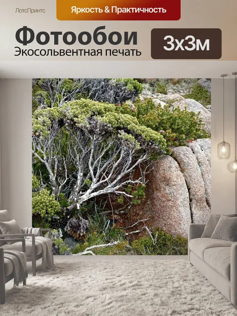 Фотообои Деревья