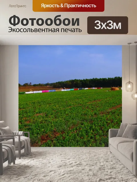 Фотообои Грамм лошади