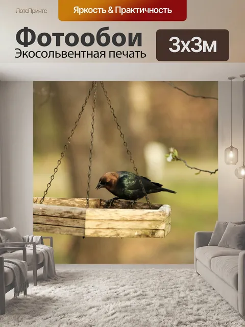 Фотообои Коричневоголовый ковбой на фидере