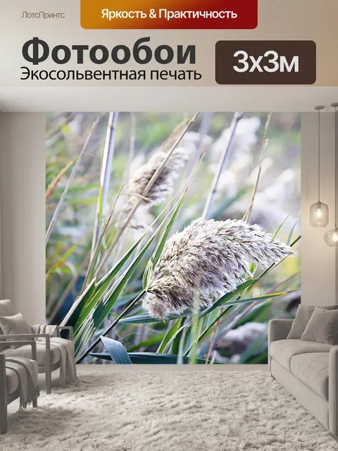 Фотообои Камыши