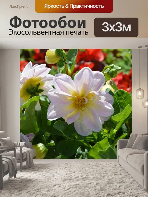 Фотообои Цветы