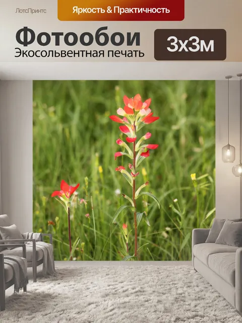 Фотообои Индийская кисть Полевые цветы