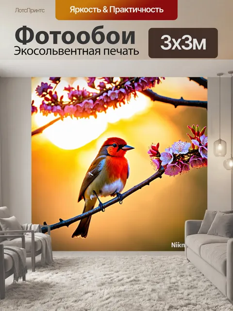 Фотообои птица с ярким оперением