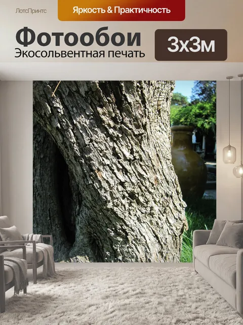 Фотообои Дерево