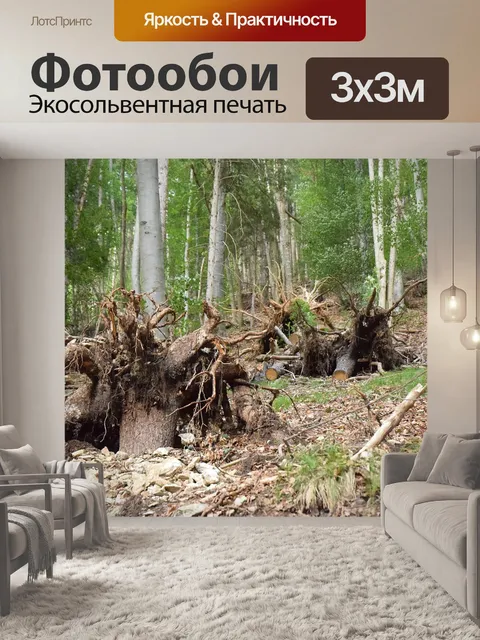 Фотообои Пень