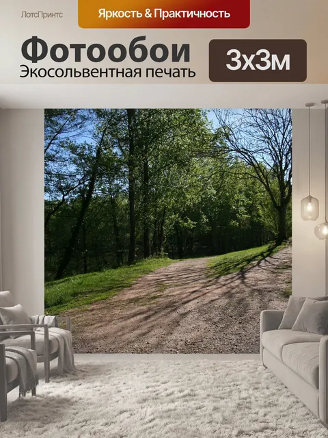 Фотообои Путь