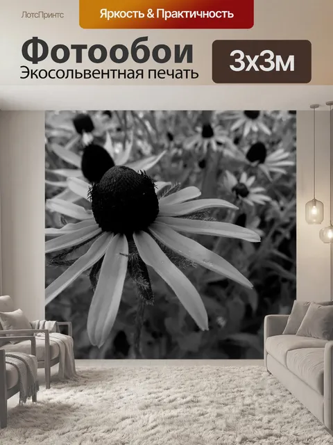 Фотообои Ромашки