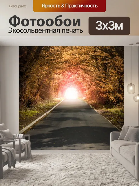 Фотообои Осенний лес Туннель Чистый Дорога