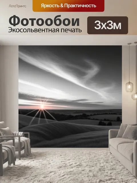 Фотообои фото пейзаж с закатом чернобелый