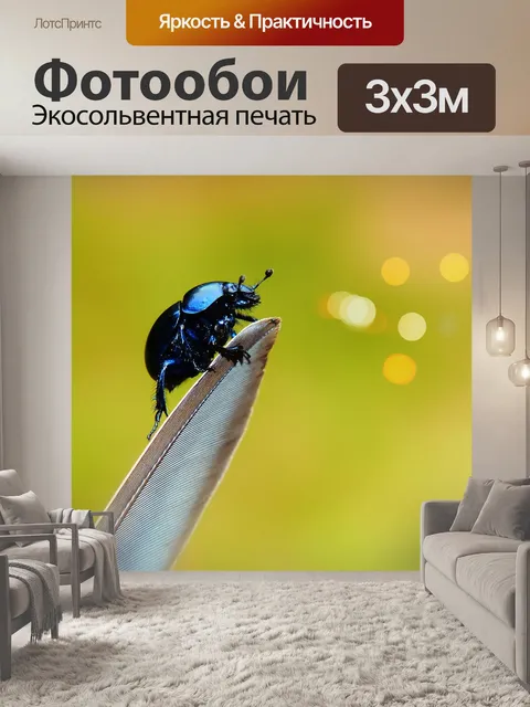 Фотообои Лесной жук