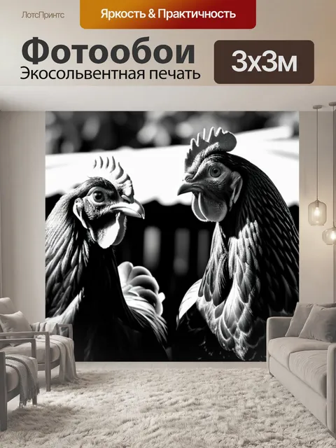 Фотообои с курами чернобелый