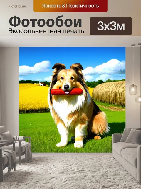 Фотообои грубая колли с игрушкой в пасти на ферме, окруженная живописными полями и небом с облаками