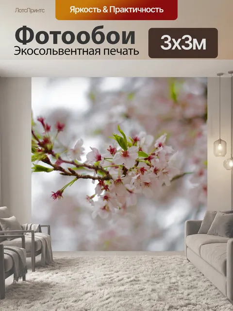 Фотообои Сакура
