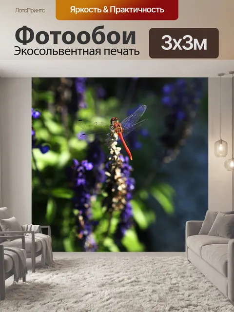 Фотообои Лес