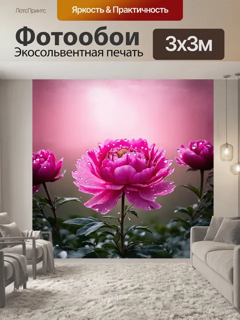 Фотообои роскошный розовый пион распускается в ярком весеннем утре, окружённый каплями росы, сверкающими как алмазы