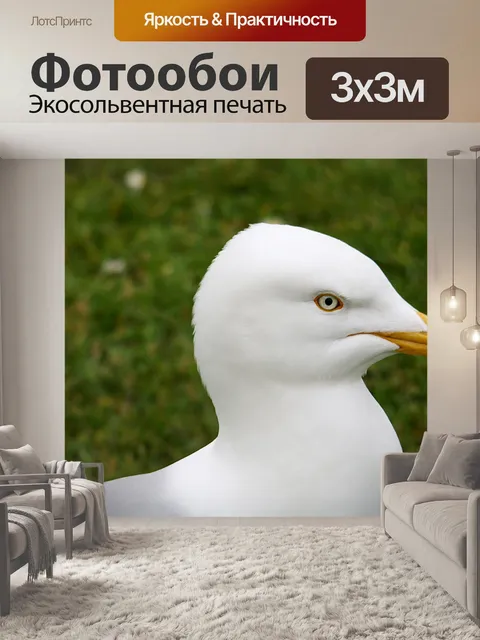 Фотообои чайка