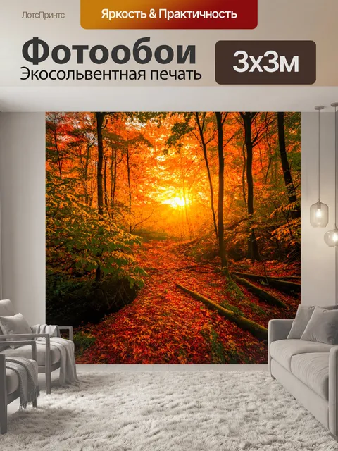 Фотообои закат в лесу с яркими листьями