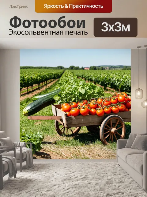 Фотообои прованс показывают прекрасно уложенные поля помидоров и кабачков