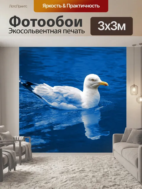 Фотообои плавающая чайка