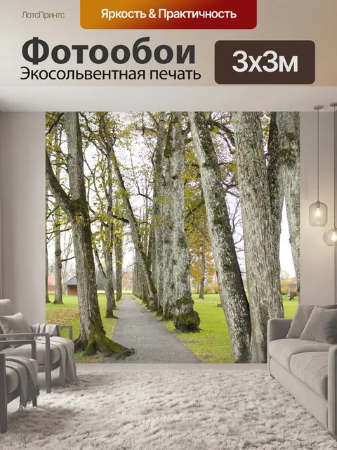 Фотообои Норвегия