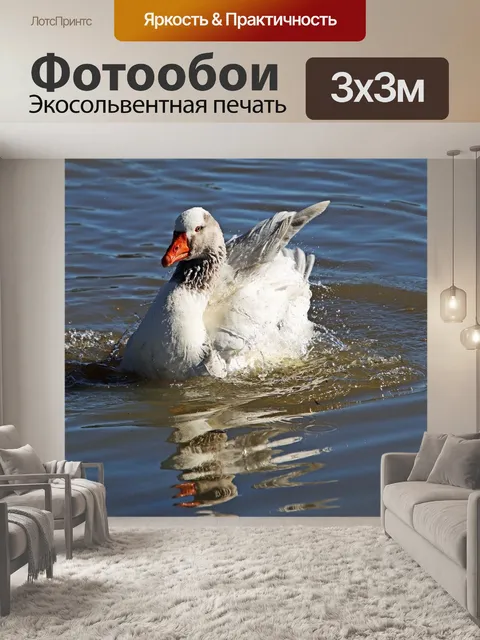 Фотообои Птица