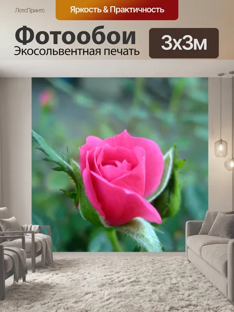 Фотообои Розы цветущие 3
