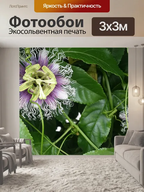 Фотообои Природа