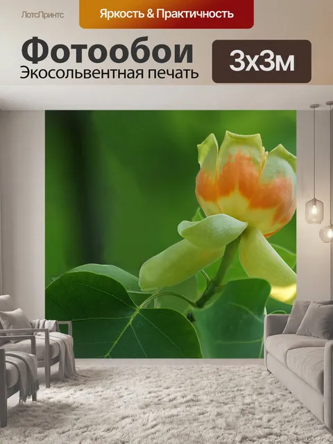 Фотообои Дерево