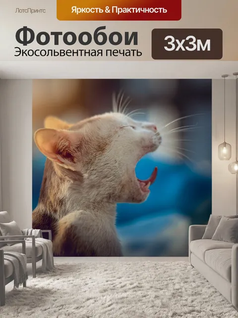 Фотообои Кошка