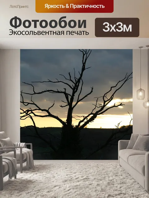 Фотообои Закат
